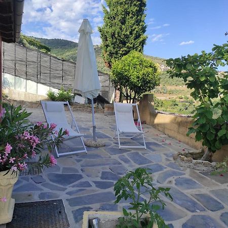 La Casa Del Podere Castellaro  Dış mekan fotoğraf