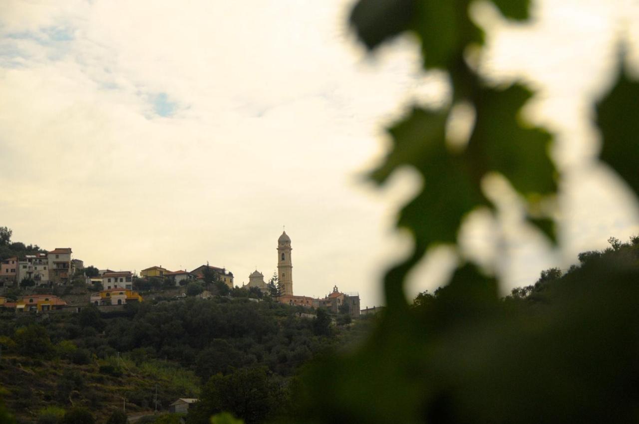 La Casa Del Podere Castellaro  Dış mekan fotoğraf