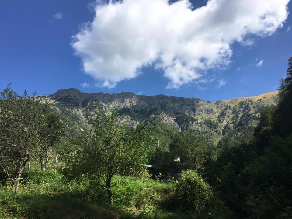 La Casa Del Podere Castellaro  Dış mekan fotoğraf
