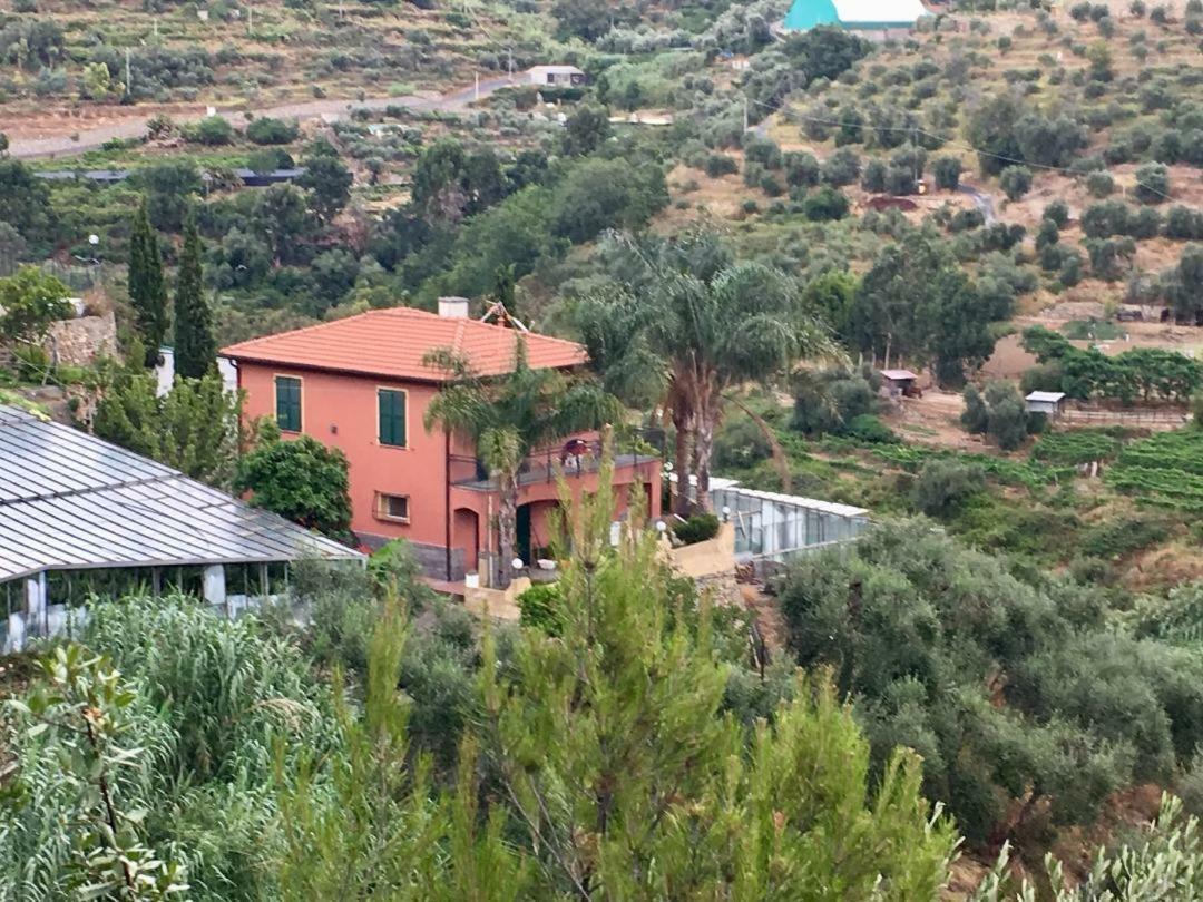 La Casa Del Podere Castellaro  Dış mekan fotoğraf