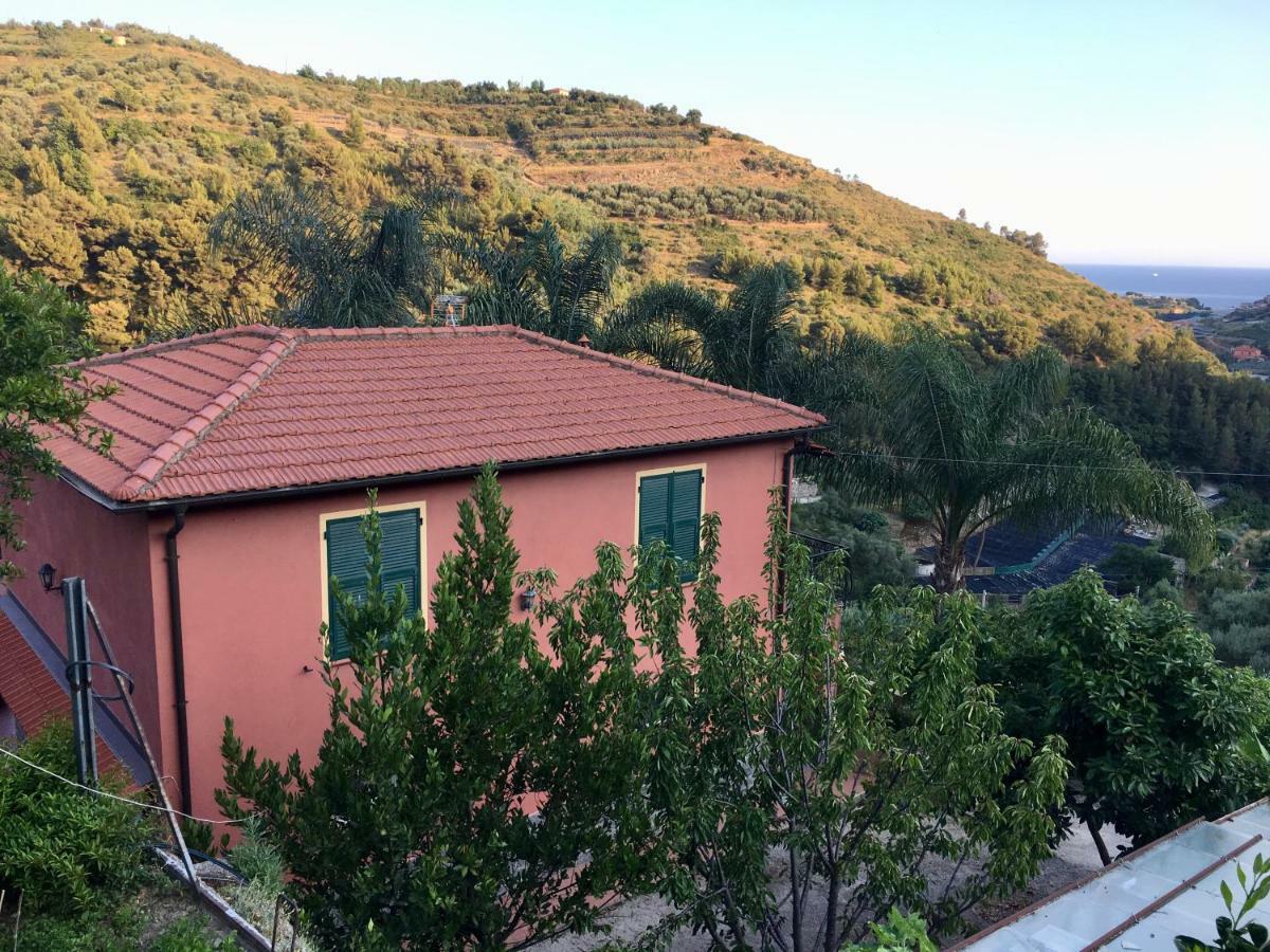 La Casa Del Podere Castellaro  Dış mekan fotoğraf